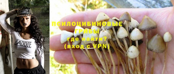 прущие грибы Снежинск